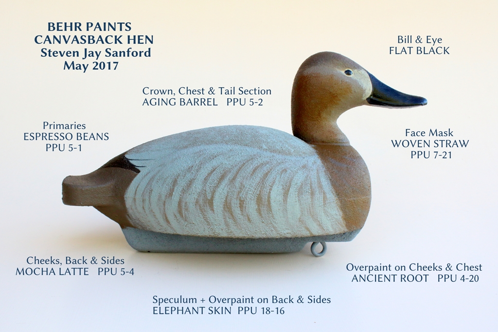 CanvasbackHen.JPG