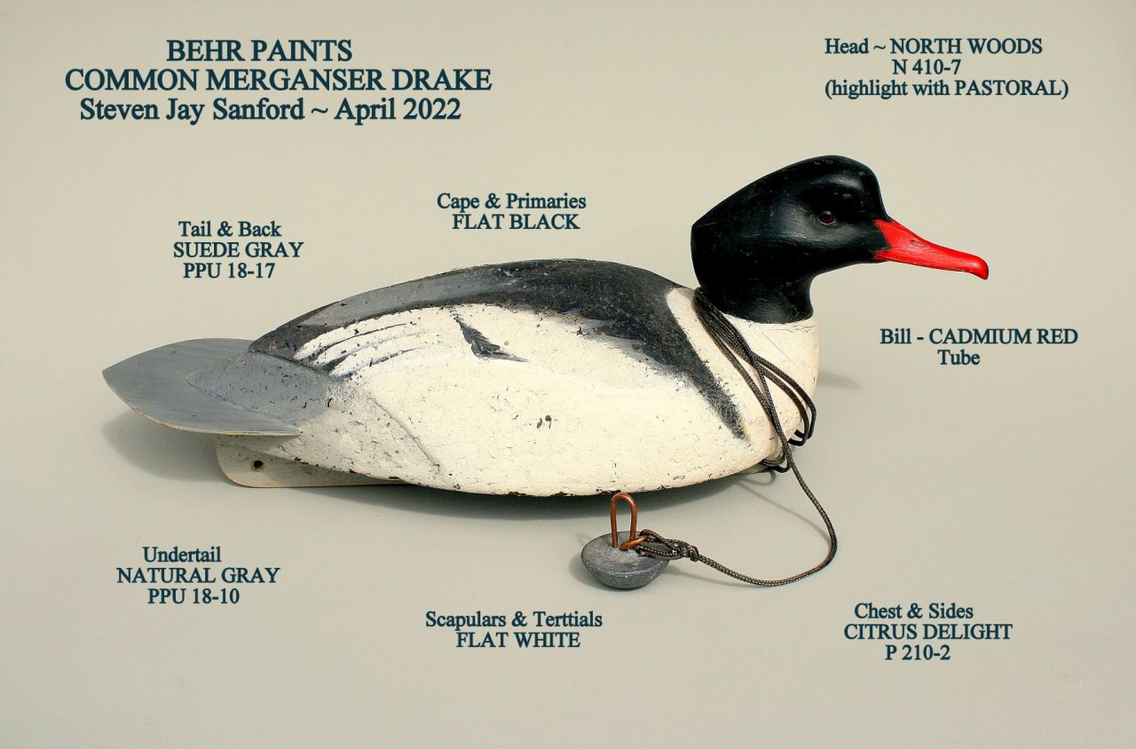 CommonMerganserDrake.jpg