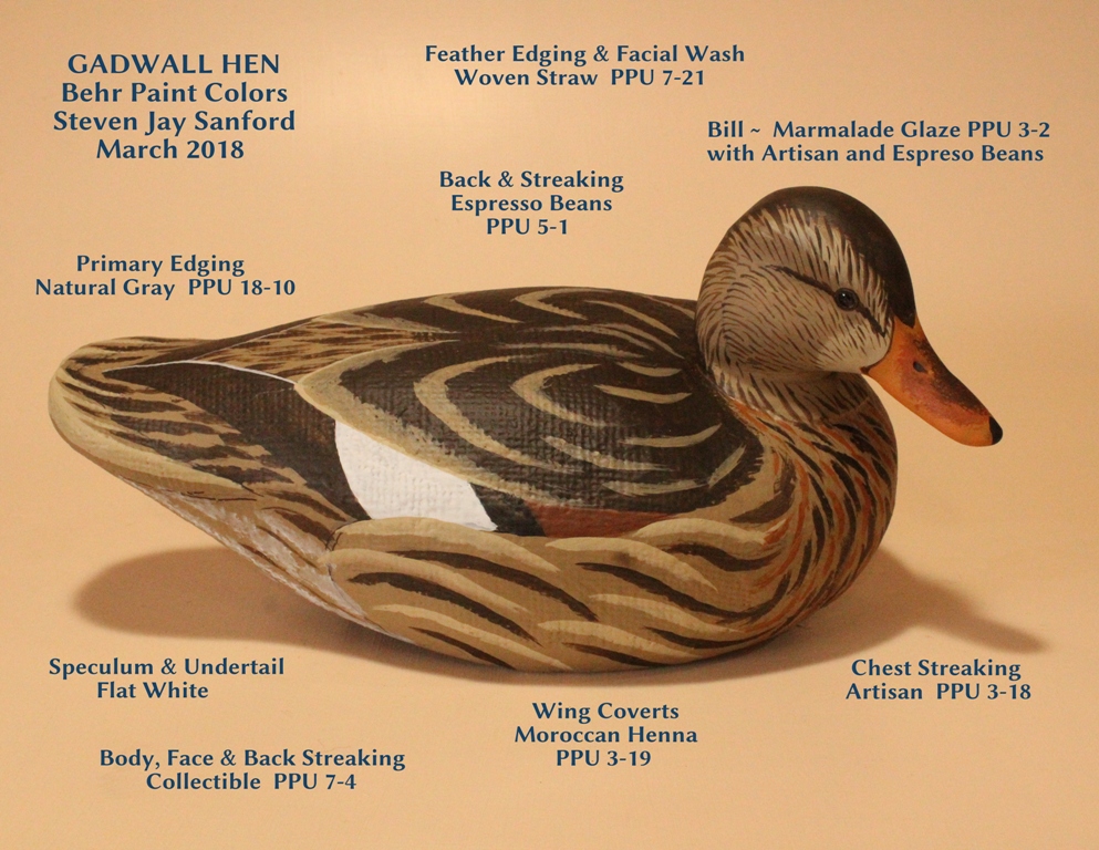 GadwallHen.JPG
