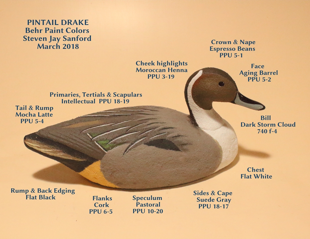 PintailDrake.JPG