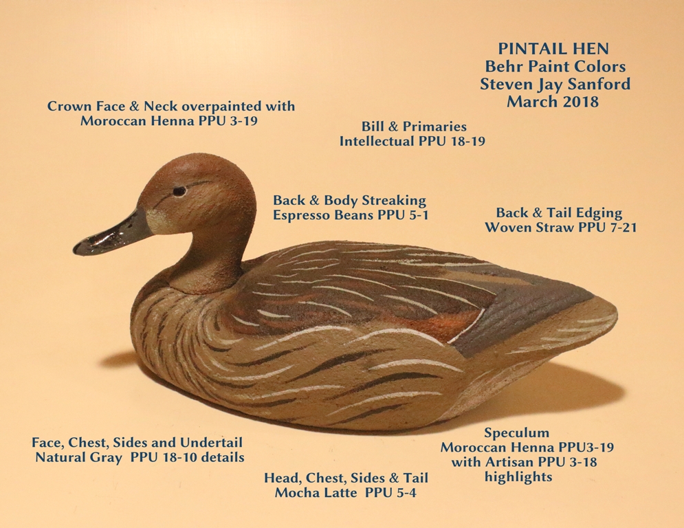 PintailHen.JPG