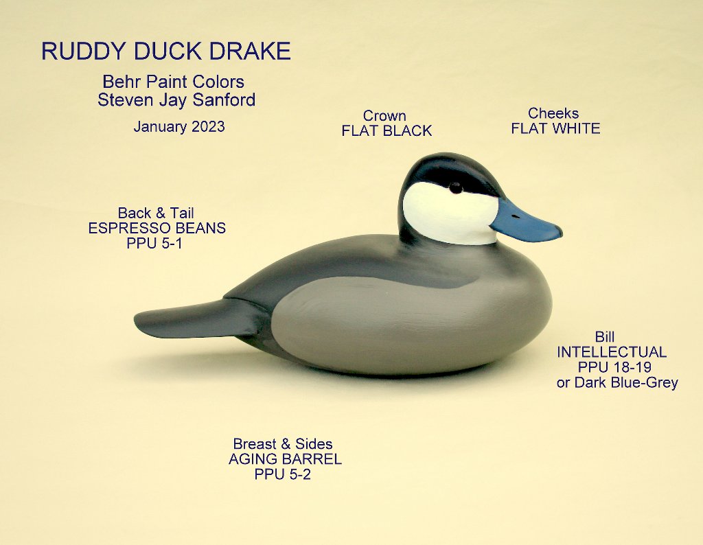 RuddyDuckDrake.jpg