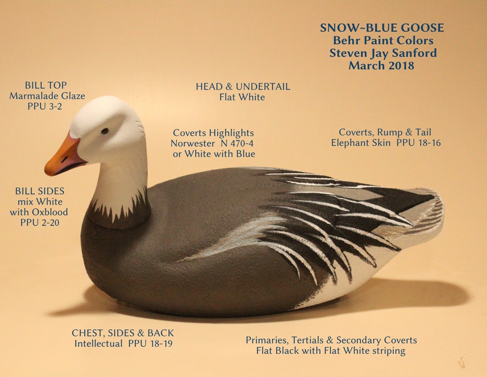 Snow-BlueGoose.JPG