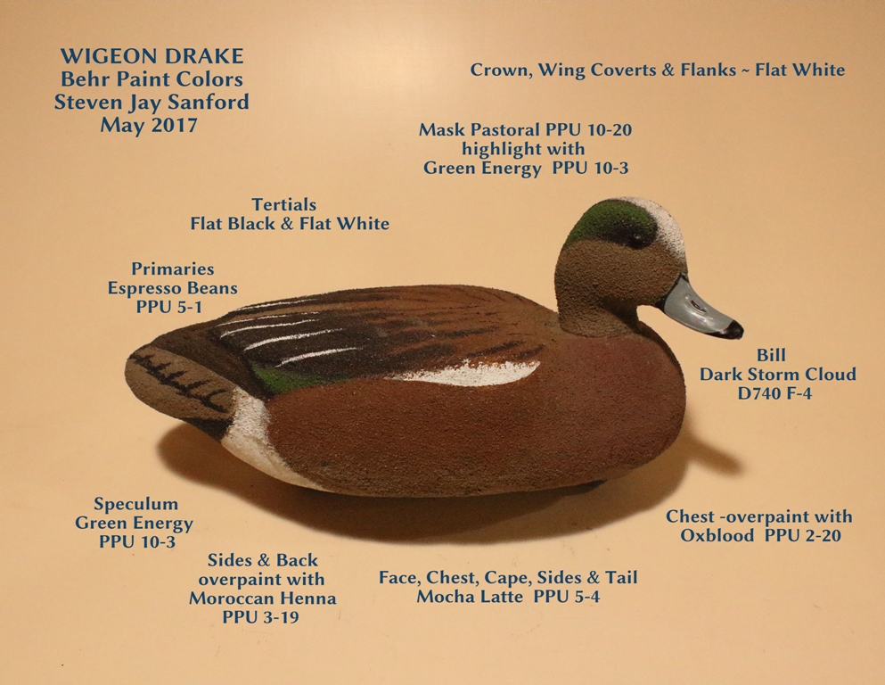 WigeonDrake.JPG