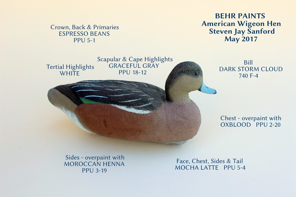 WigeonHen Warm.JPG.JPG