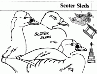 scoter_sleds1.gif