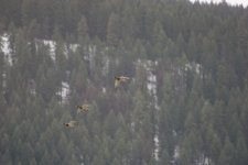 IMG_5299.JPG