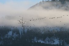 IMG_5336.JPG