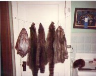 CF84-85Furs.jpg