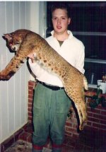 CF86-87Bobcat.jpg