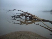 12-18-06 #1.jpg
