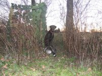 goose20061223.JPG