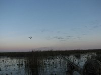 December 2006 061.jpg