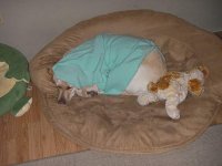 spoileddog.jpg
