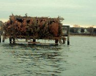 York River Blind.jpg