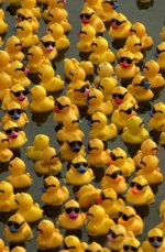 Rubber Duckies.jpg