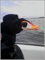 sea1.jpg