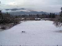 SnowPond-0.jpg