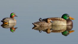 Mallteal.jpg