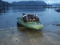 Firstblood.JPG Firstblood.JPG