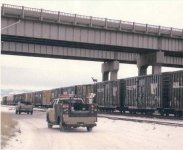 deer onrailroad car e.JPG