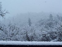 Snowing-2.jpg