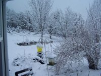 Snowing-3.jpg