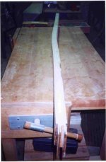 uncut oar blank.jpg