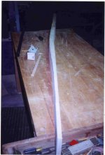 sideview of 1stcut.jpg