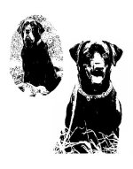 Larsens Dogs.JPG Larsens Dogs.JPG