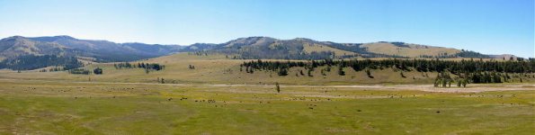 LAMAR_VALLEY_PAN-1.jpg