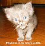 frowedup.jpg