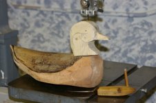 frondwidgeon 001 (600 x 399).jpg frondwidgeon 001 (600 x 399).jpg