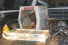 Petstepramp 005 (600 x 399).jpg Petstepramp 005 (600 x 399).jpg