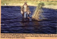 Pond-image001f.jpg