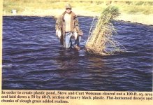 Pond-image001g.jpg