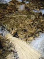 raffia1.JPG