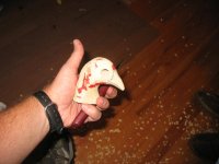 IMG_3112_1_1.JPG