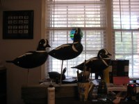 IMG_3206_1_1.JPG