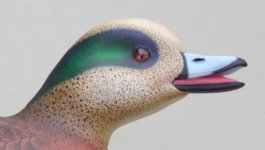 WAwidgeon 032 (600 x 340).jpg