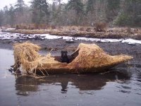 on water 2.jpg