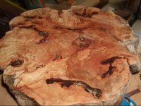 burl5.jpg