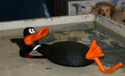 daffytank.JPG