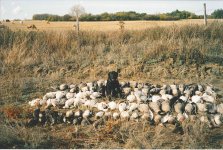 Blade in Alberta 2.jpg