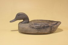 D - Model Canada Black Duck - new bill and primed head.JPG