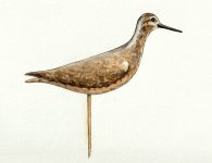 Bunn Yellowlegs CROPPED.jpg