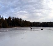 pond.jpg