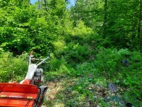 flail mower5.jpg