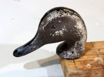 I 72 Pintail - head sanded.JPG I 72 Pintail - head sanded.JPG