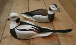 Oldsquaw Foamers - 7 Feb 2013 - small.jpg Oldsquaw Foamers - 7 Feb 2013 - small.jpg